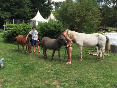 Bed & Breakfast Le Moulin Du Bois