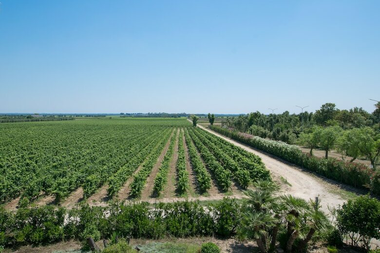 Bed & Breakfast Masseria Mazzetta Salento
