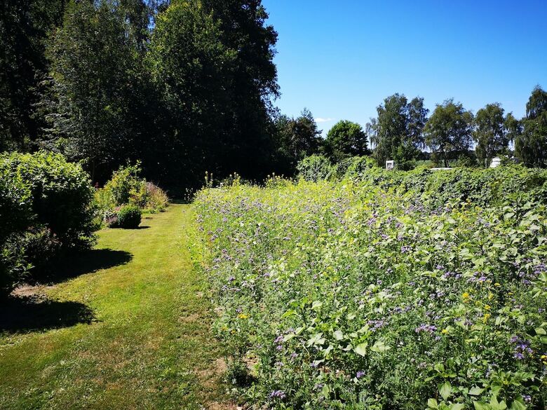 Apartamentos Ferienwohnungen Tewes