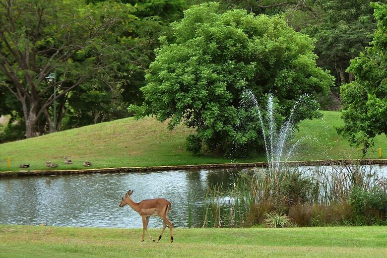 Posada Kruger Park Lodge Unit No. 239