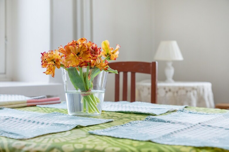 Apartamentos Wehost Vy�katu 9