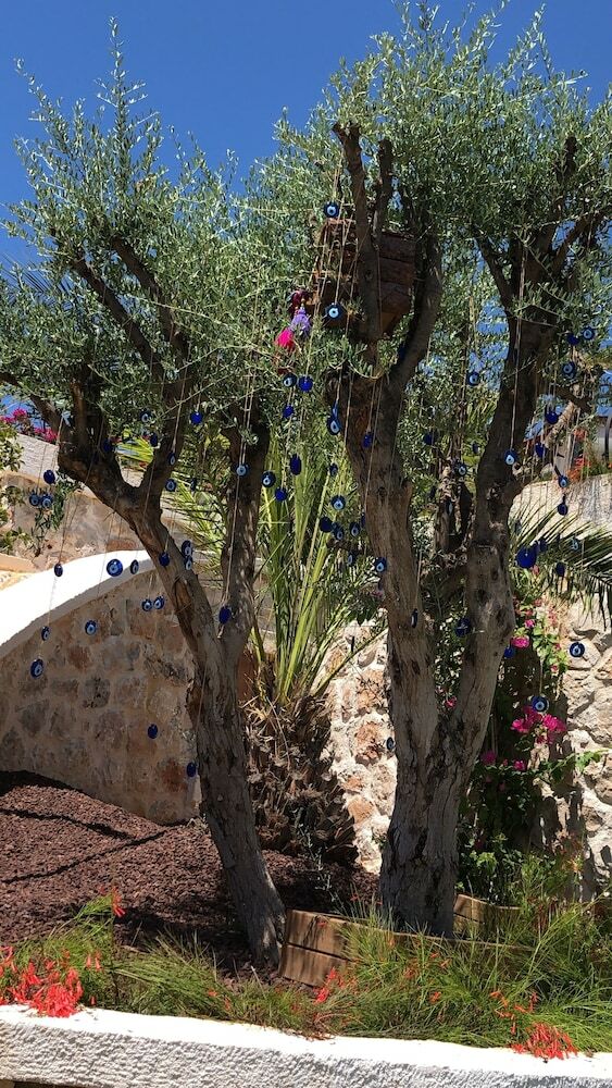 Molino Hotel