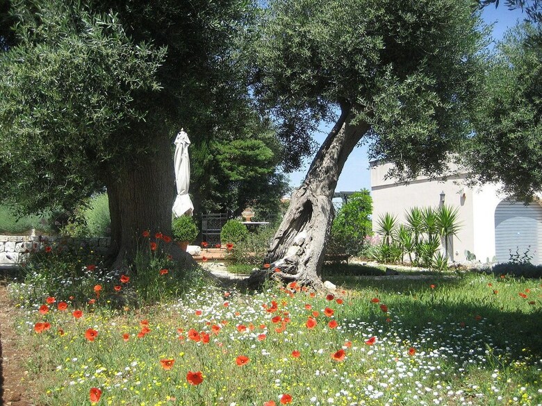 Agroturismo Masseria Due Torri