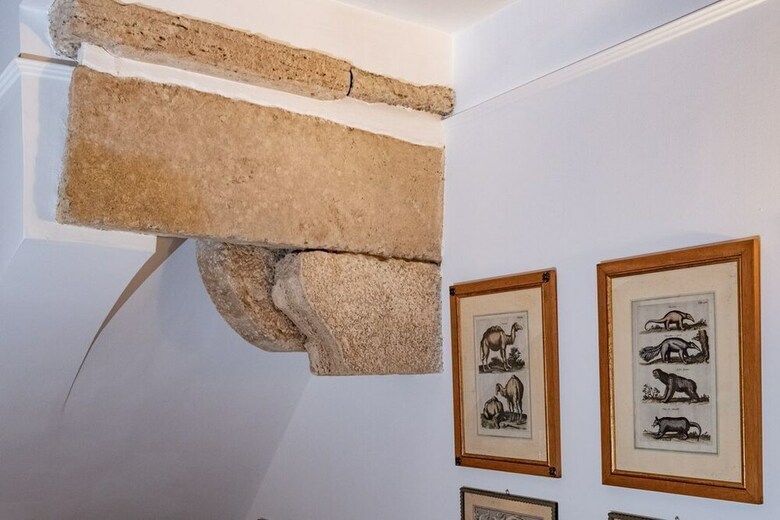 Apartamento Wonder Cozy Studio