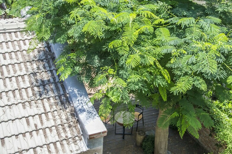 Bed & Breakfast Alley X Tainan