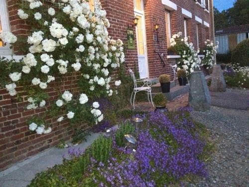 Bed & Breakfast Les Chambres de Ribeaufontaine