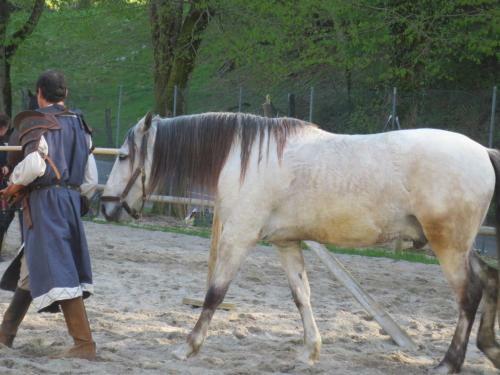 G�te Sud Alsace-ferrette