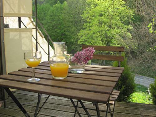 G�te Sud Alsace-ferrette