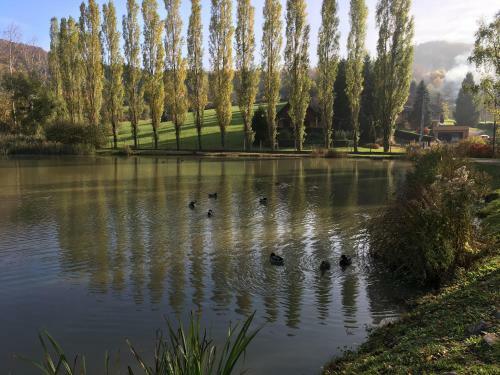 G�te Sud Alsace-ferrette