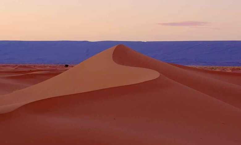 Bivouac Sahara Feeling