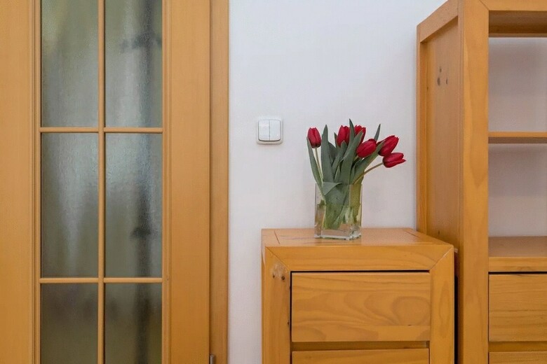 Spasious Apartment In Prague