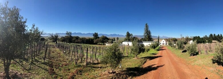 Bed & Breakfast Scali Wine Lodge