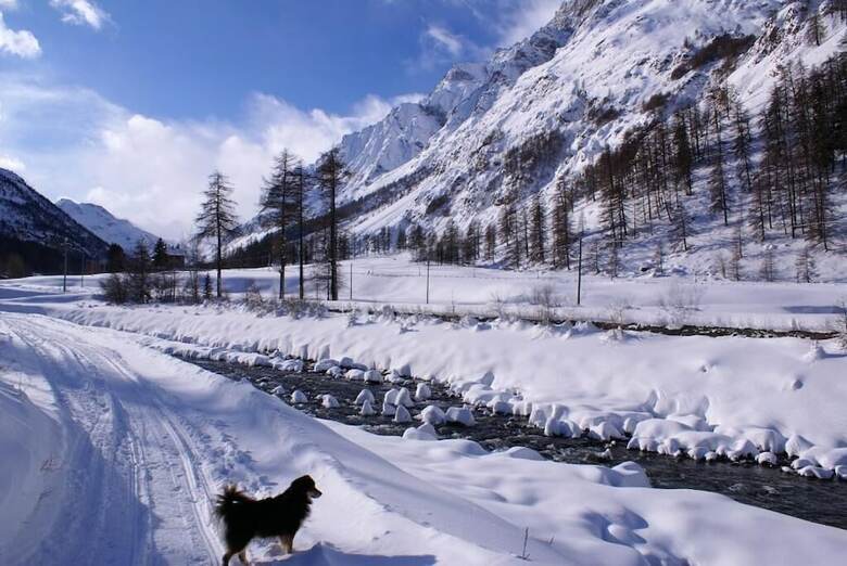 Hotel Albergo Boule de Neige