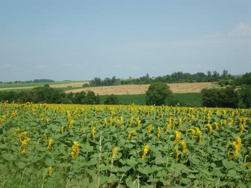 Bed & Breakfast Ch�teau De Fourc�s