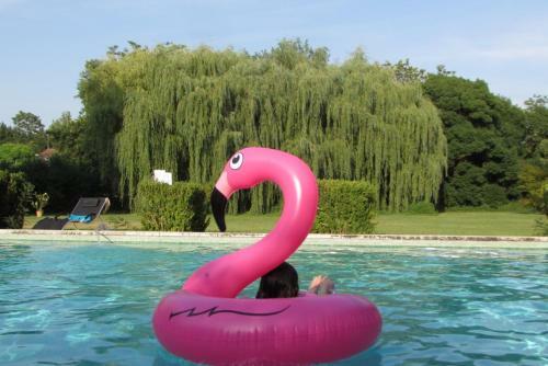 Bed & Breakfast Ch�teau De Fourc�s