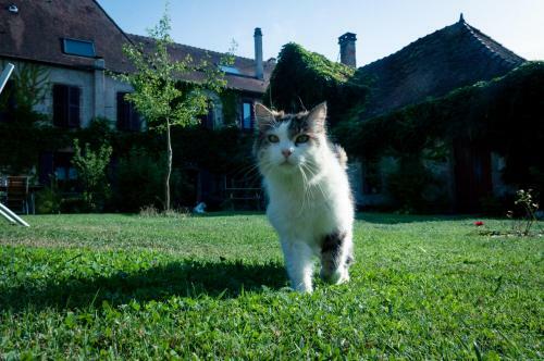 Bed & Breakfast Au Puy Des V�rit�s