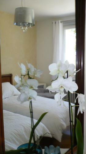 Bed & Breakfast La Maison De Roussille