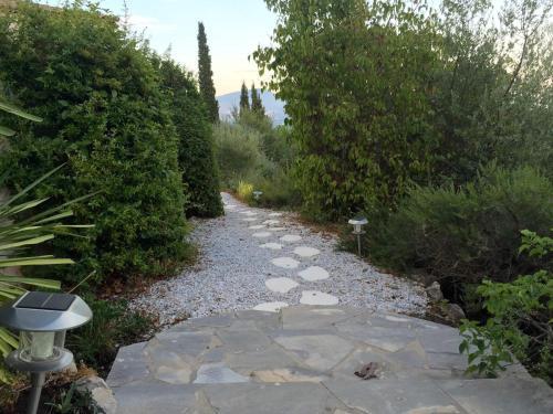 Apartamento Studio L'olivette