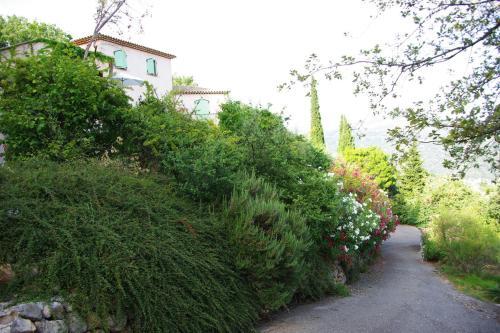 Apartamento Studio L'olivette