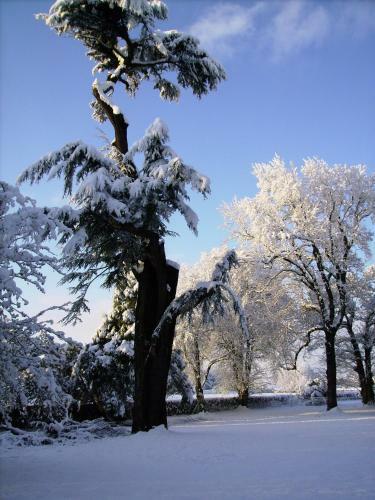 Bed & Breakfast Chateau De La Garenne