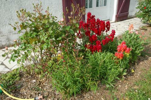 Gite Les Coquelicots
