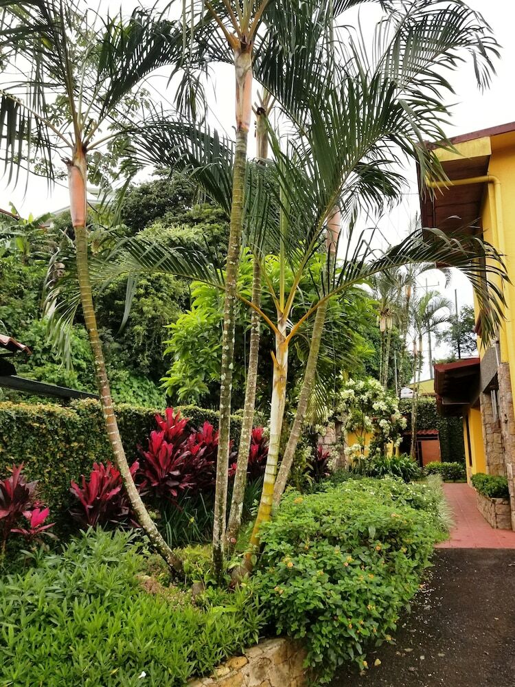 La Terraza Guest House B&B