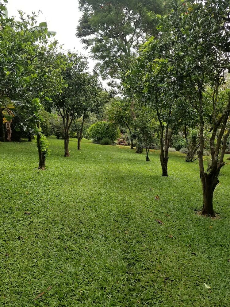 La Terraza Guest House B&B