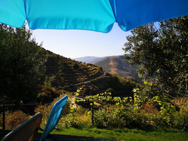 Quinta Das Fontainhas - Douro Valley
