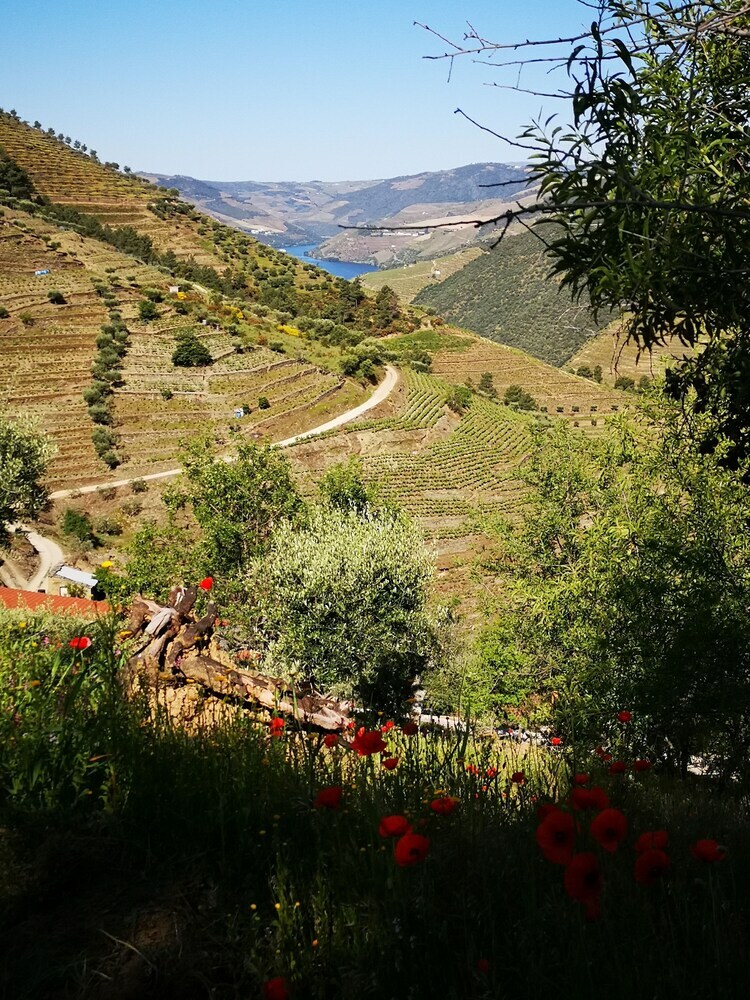Quinta Das Fontainhas - Douro Valley