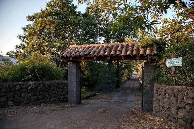 Agroturismo L'antica Vigna
