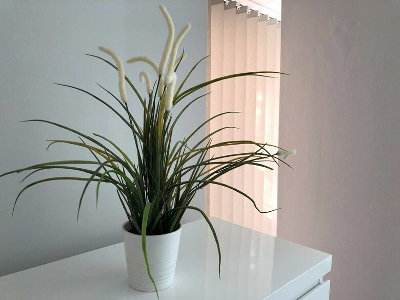 2 Bedroom Apartment In Ancoats!