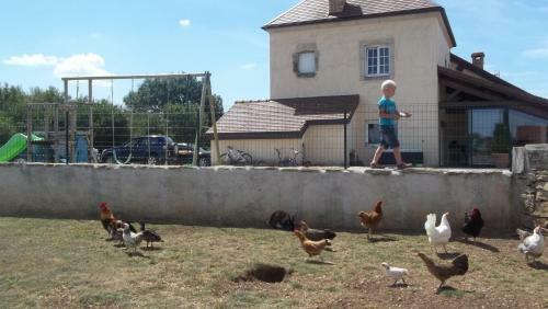 Gite Du Colombier