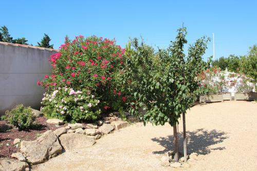 Hotel H�tel Et R�sidence de La Transhumance