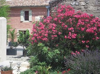 Bed & Breakfast Le Mas De Gleyzes