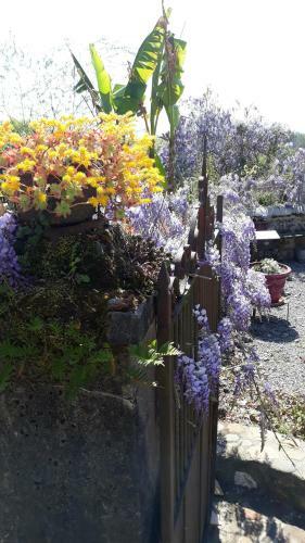 Hostal Maison Castaings