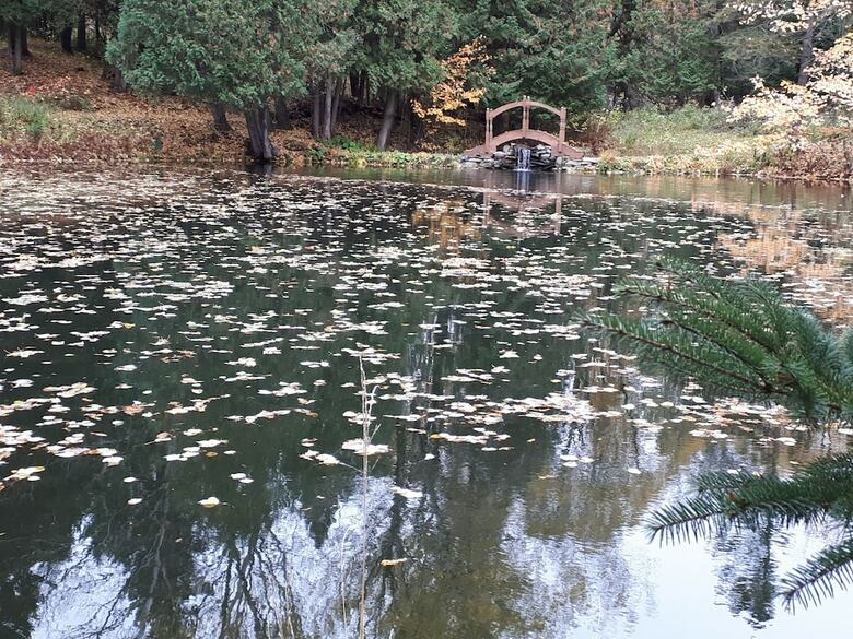 Le Domaine de L'�tang