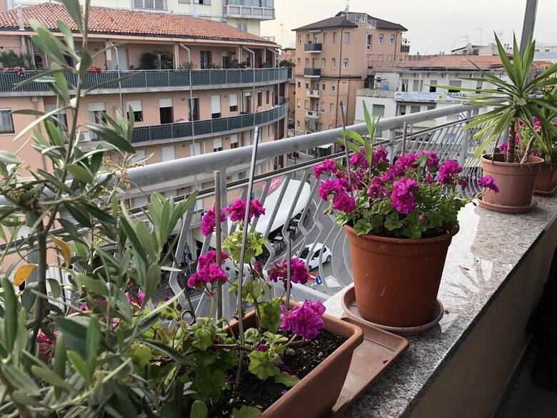 Apartamento L'attico Centrale
