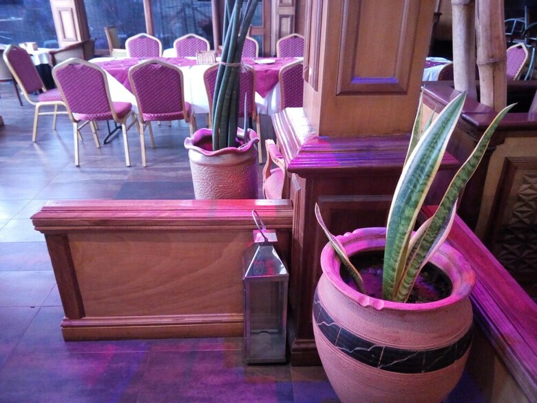 Highgate Hotel