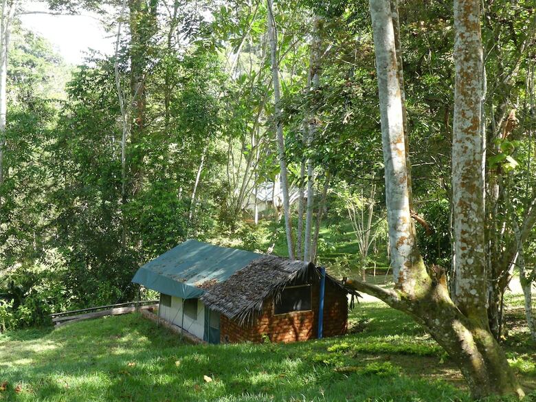 Amani Forest Camp Emau Hill