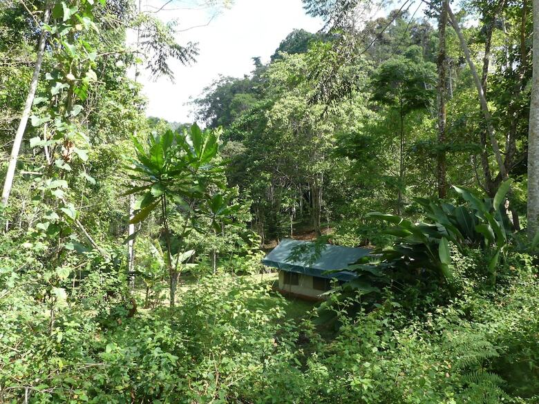 Amani Forest Camp Emau Hill