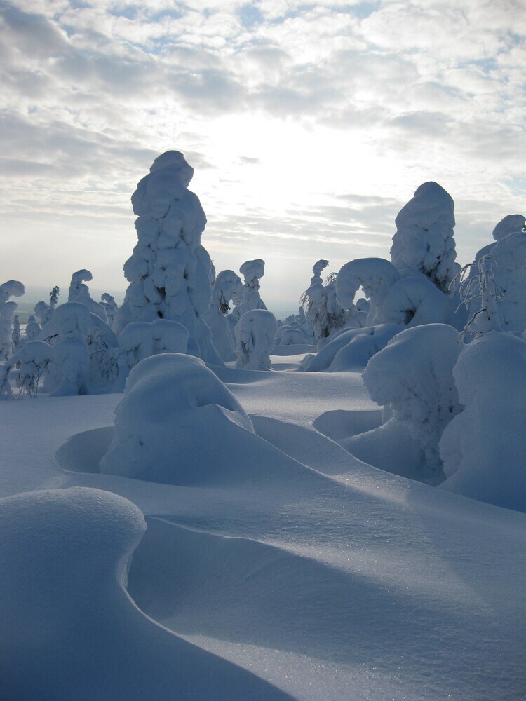 Wilderness Hotel Kuusamo