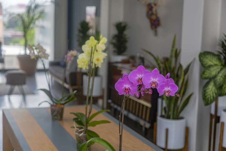 Apartamentos Sunny Vibrant Ph By Mr.w