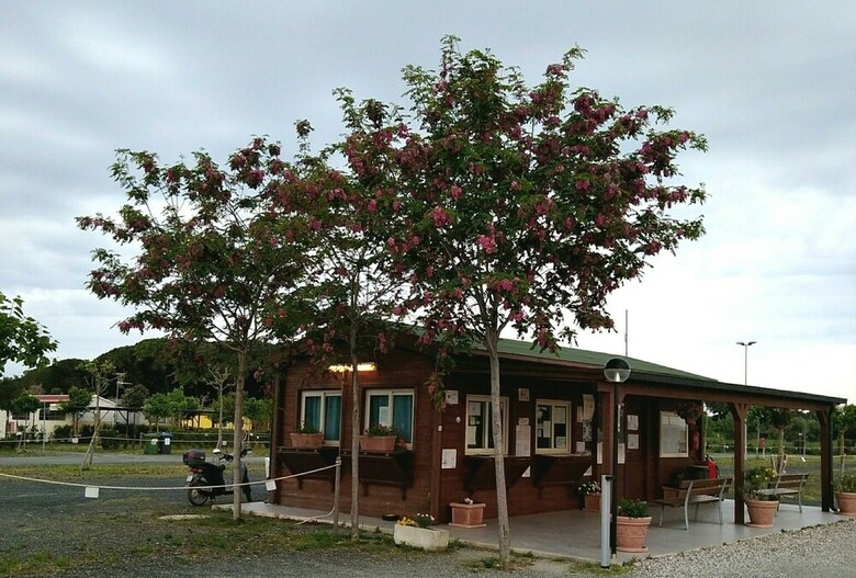 Campeggio Bocca Di Cecina