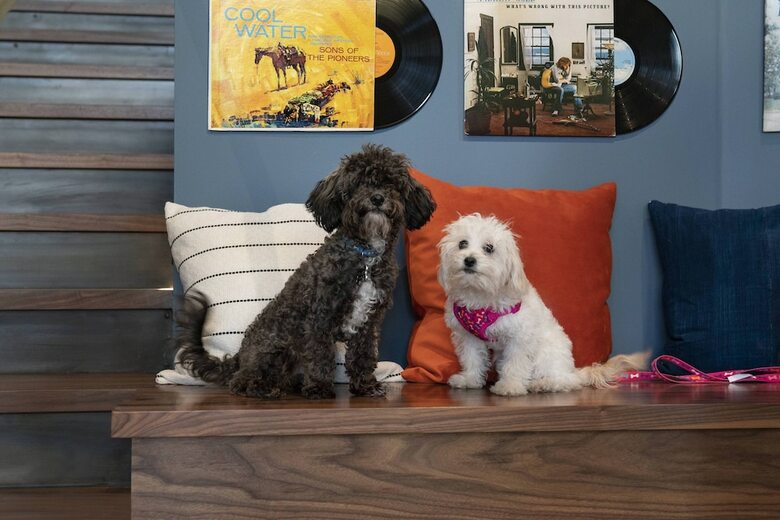 Hotel Moxy Nashville Vanderbilt Area