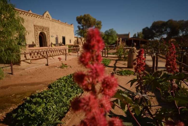 Hotel Kasbah Bivouac Lahmada