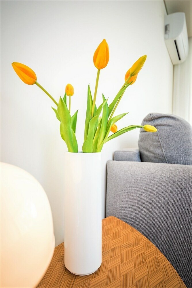 Apartamentos Bom Jardimapartments