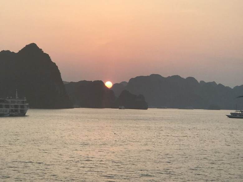 Apricot President Cruise