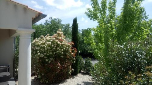 Hostal Chambres D'h�tes Le Mas De Molines