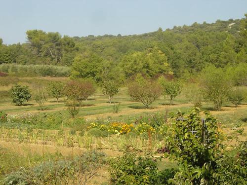 Bed & Breakfast Le Mas De Foussargues