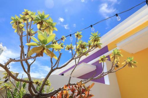 Hotel Burano Yellow Villa